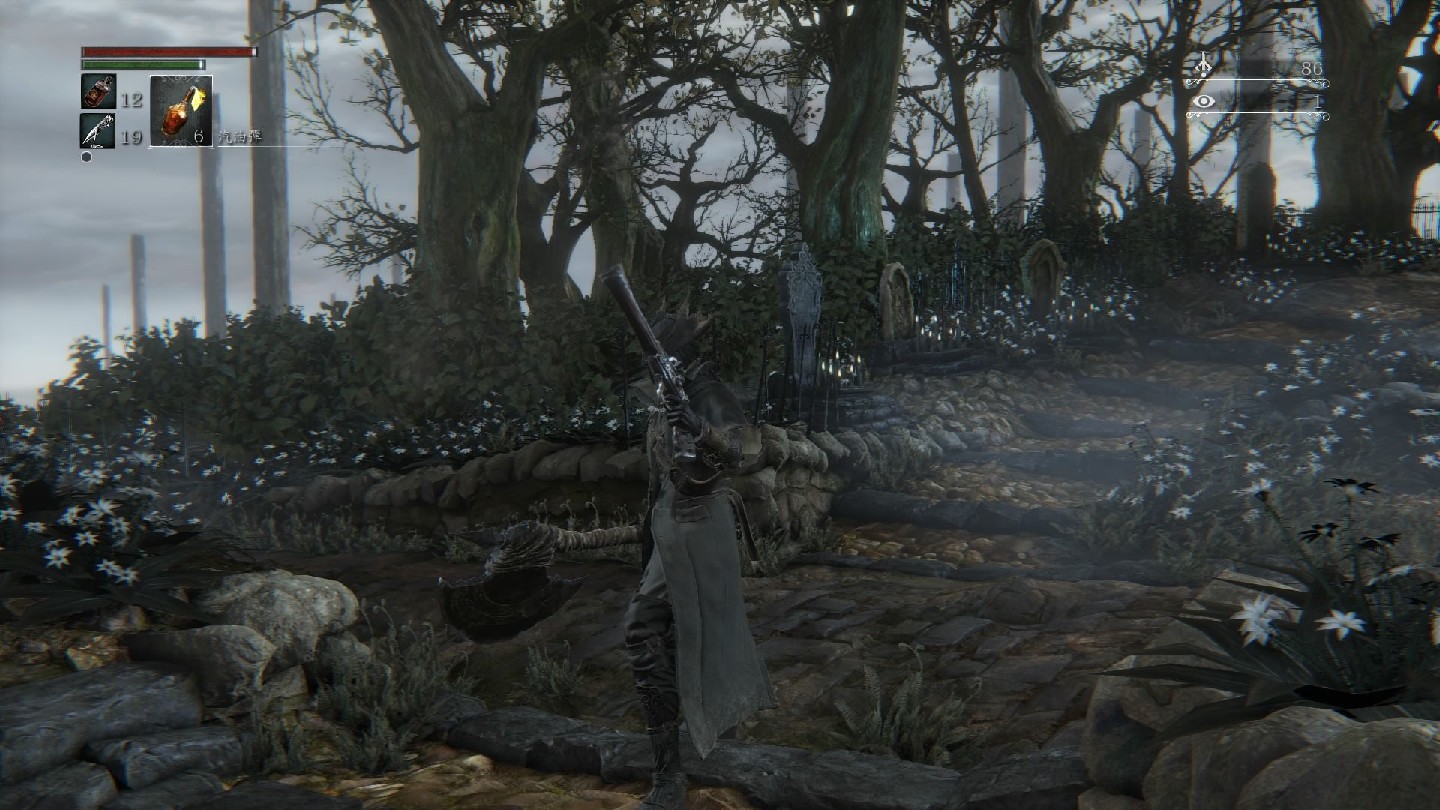 Bloodborne_20150325152806.jpg